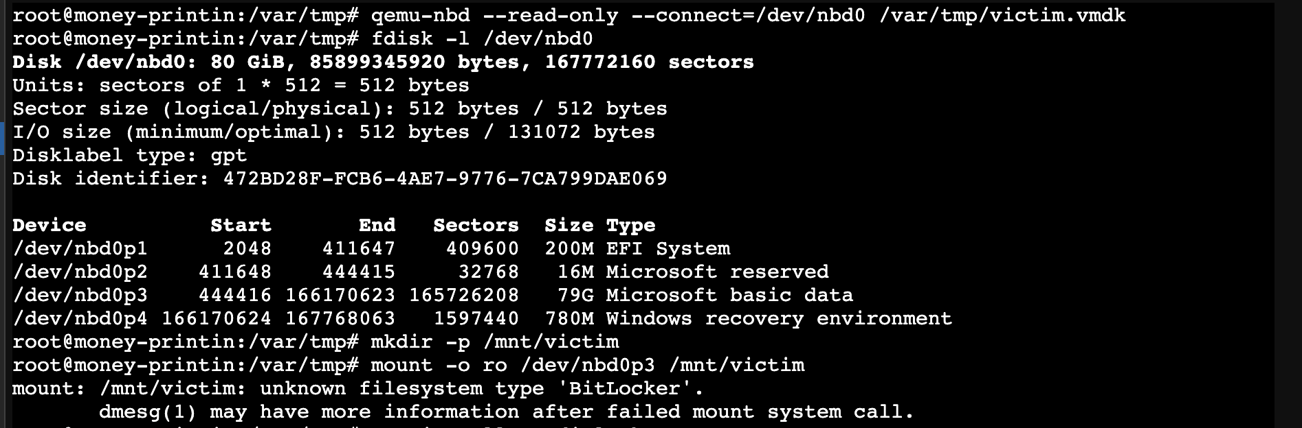 BitLocker encrypted partition